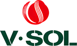 Partner Logo VSOL.webp